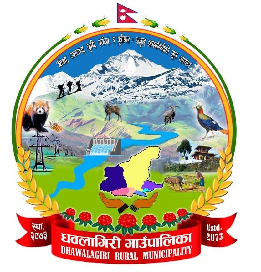 Local Government Logo