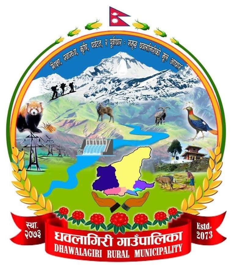 Local Government Logo